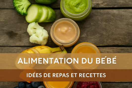Alimentation du bébé Idée de repas et recettes 