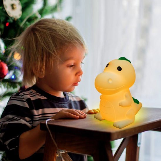 GARCON HEUREUX AVEC VEILLEUSE BEBE DINOSAURE 